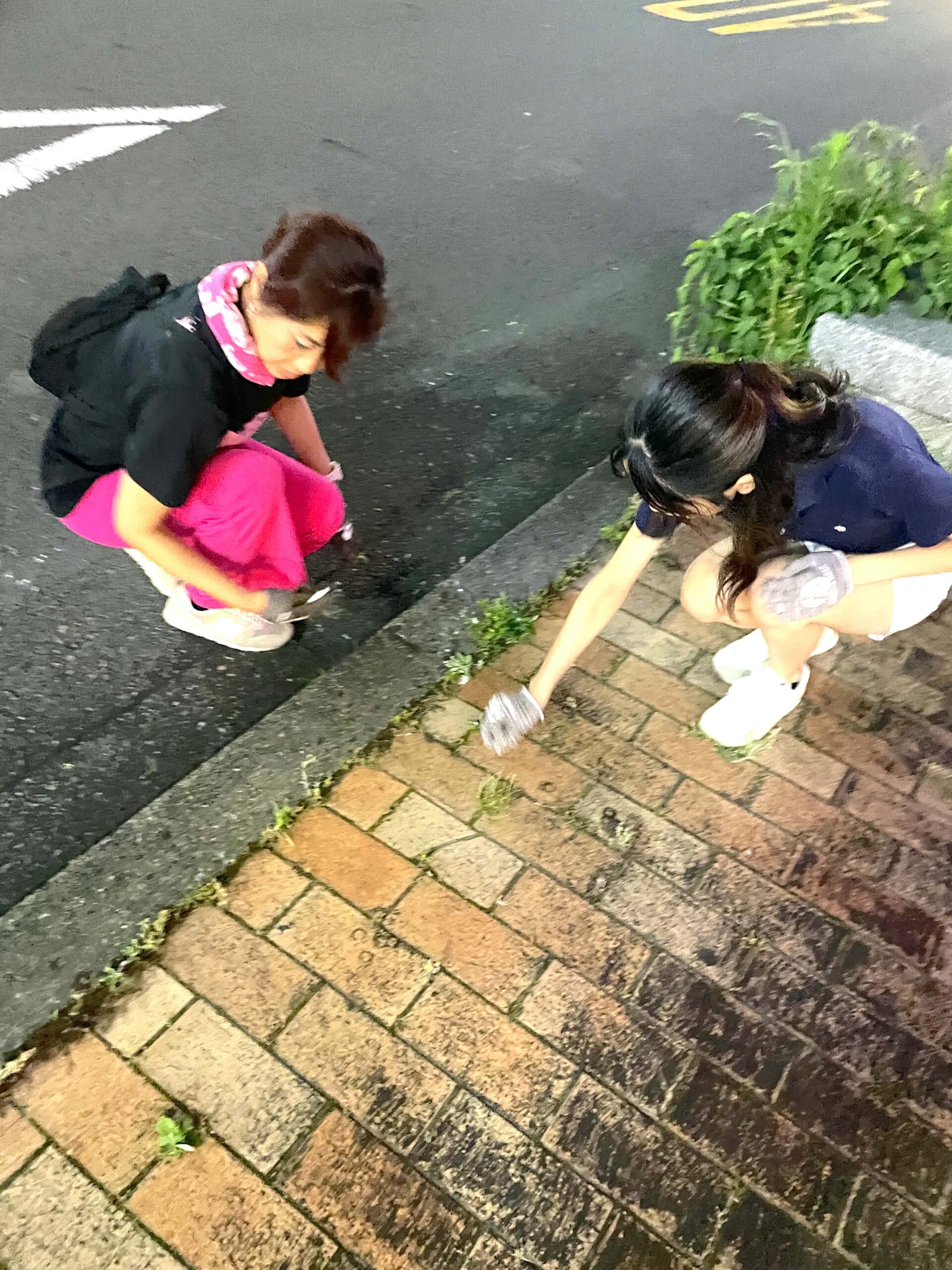 【#394】島田プロギング開催~ビア・パーク終了後のナイトプロギングで夜のまちを守る~の活動写真